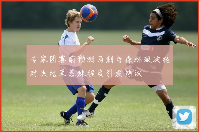 专家团赛前预测马刺与森林狼次轮对决结果悬殊程度引发热议
