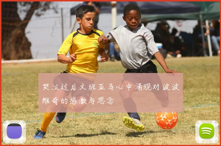 哭泣过后文班亚马心中涌现对波波维奇的感激与思念
